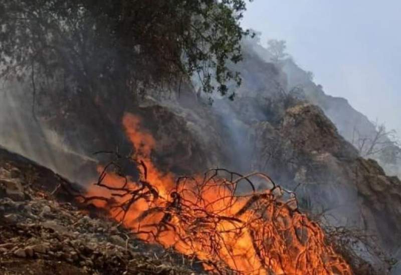 آتش سوزی در ارتفاعات خائیز کهگیلویه