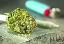 ماری‌جوانا در دیشموک پیدا شد