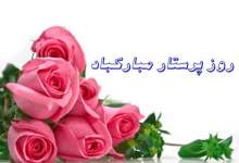 تبریک غلام‌محمد زارعی به مناسبت روز پرستار