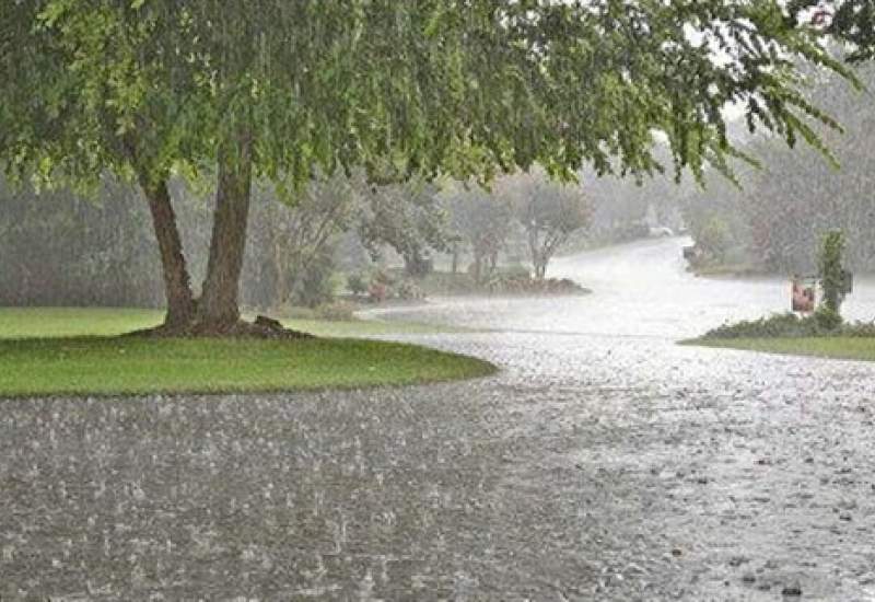 آخرین وضعیت بارش باران در کهگیلویه و بویراحمد