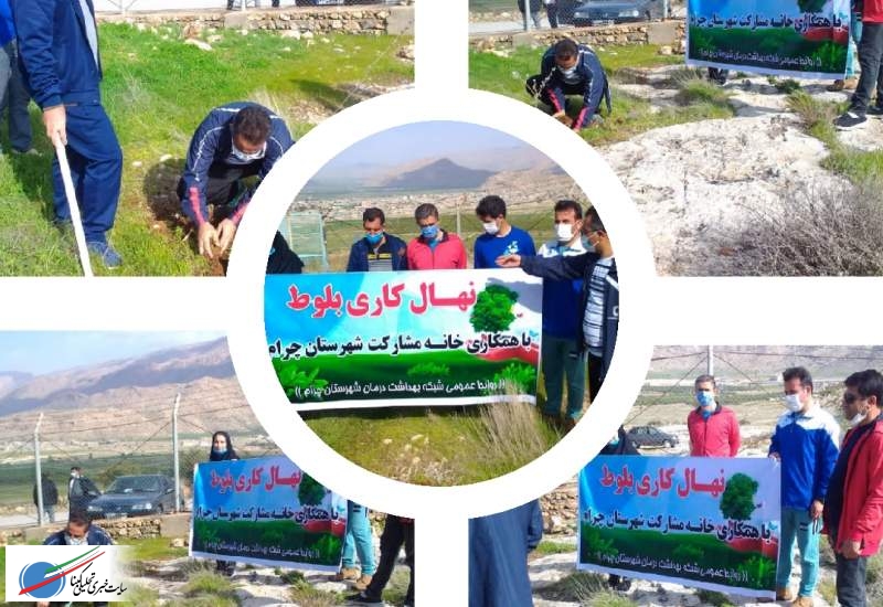 کاشت نهال بلوط در چرام به مناسبت هفته سلامت مردان ایرانی