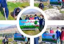 کاشت نهال بلوط در چرام به مناسبت هفته سلامت مردان ایرانی