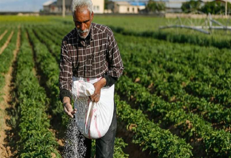 کمبود کود شیمیایی در بخش لوداب صدای کشاورزان را درآورد