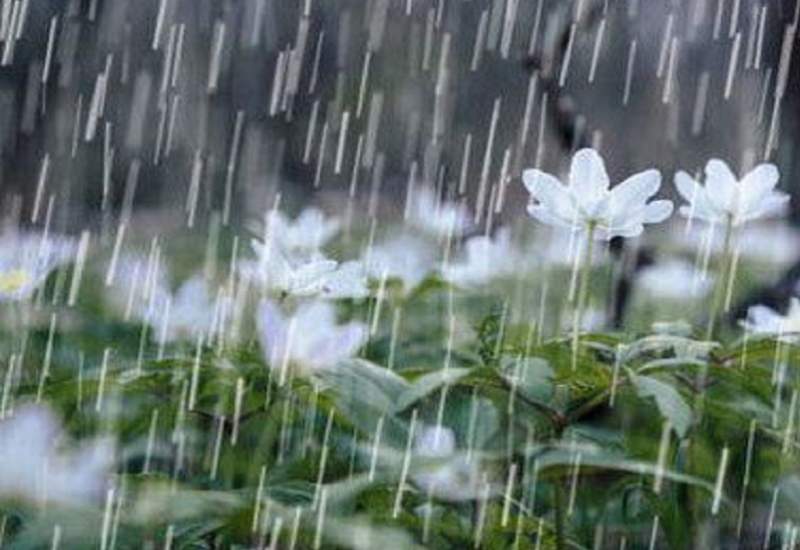 بارش باران در روز سیزده بدر؛ از کهگیلویه و بویراحمد تا خراسان شمالی