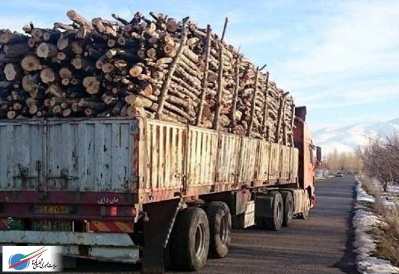 محکومیت سه میلیارد ریالی برای قاچاق چوب در کهگیلویه و بویراحمد
