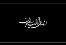 پیام تسلیت در پی درگذشت مادر حجه‌الاسلام «هادی خادمی»