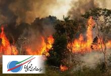 دختر بچه ۳ ساله قربانی آتش‌سوزی مراتع فارس