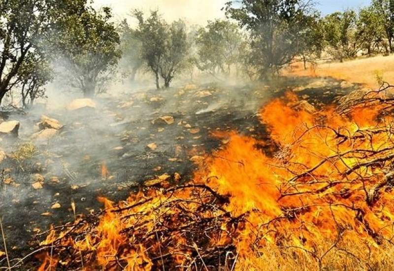 آتش سوزی در کوه های گچساران مهار شد