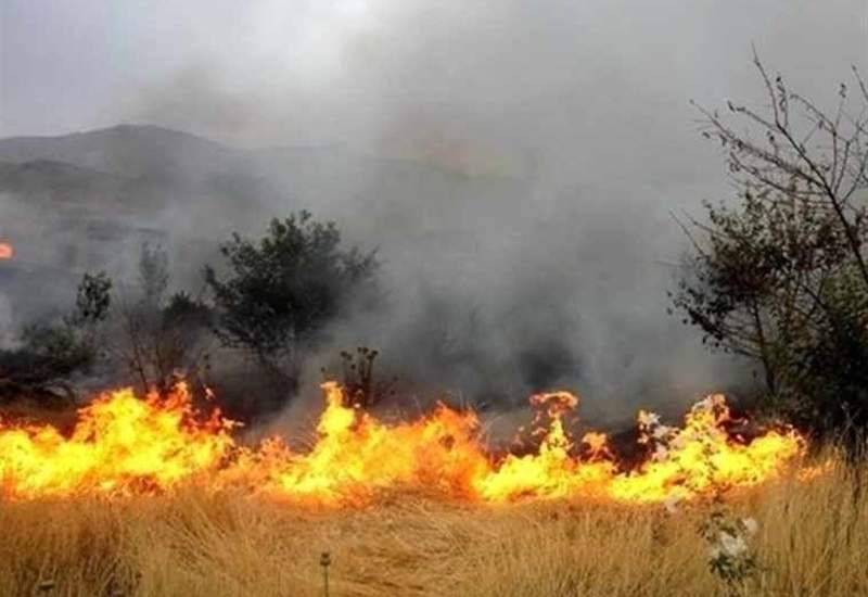 آتش کوه های نارک خاموش شد، دیل همچنان می سوزد / حضور جهادی فرماندار گچساران و امدادرسانان + فیلم