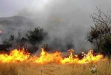 مهار آتش سوزی کوه دیل پس از 5 روز