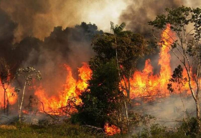 آتش همچنان جنگل‌های سرفاریاب را می‌سوزاند