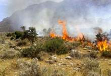 آتش سوزی در مراتع بوستان و کته