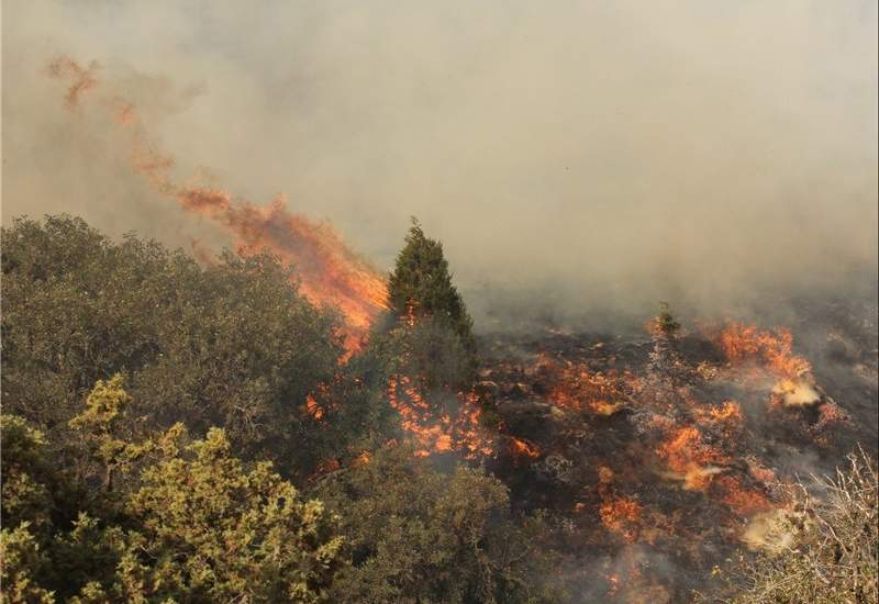 آتش سوزی در جنگل‌های منطقه«کُهوا» شهرستان بویراحمد