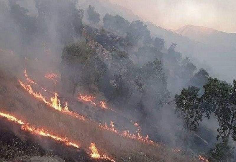 آتش سوزی در منطقه شلال‌دون باشت