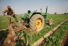 داغ تشنگی بر دل مردم و مزارع کشاورزی کهگیلویه و بویراحمد سنگینی می‌کند