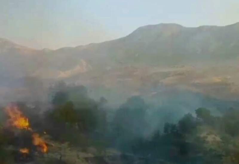آتش‌سوزی گسترده در جنگل‌های نارک گچساران؛ مهار بدون بالگرد سخت است
