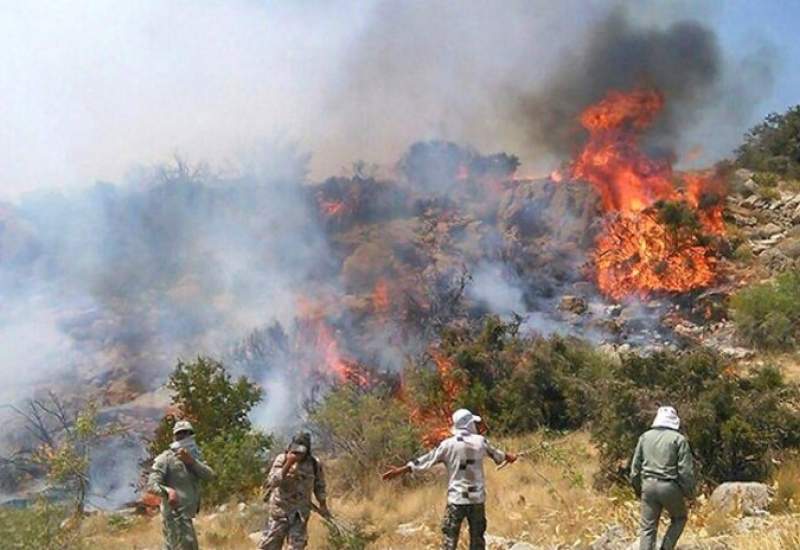 آتش سوزی وسیع در کوه های نارک ادامه دارد / درخواست کمک برای مهار آتش سوزی + فیلم