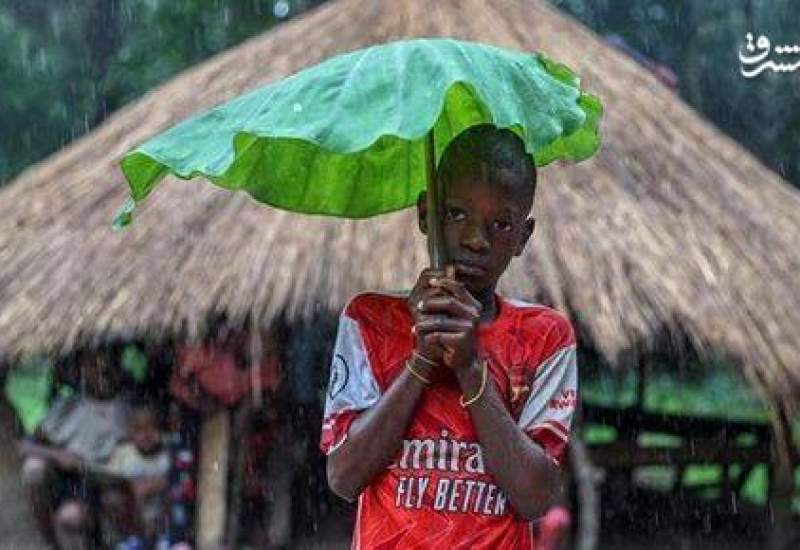 عکس/ چتر طبیعی کودکان هنگام بارش باران  <img src="https://cdn.kebnanews.ir/images/picture_icon.png" width="11" height="10" border="0" align="top">