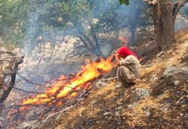 آتش سوزی جنگل‌های «کوه شره» کهگیلویه / درخواست بالگرد شد ( تصاویر  و فیلم )