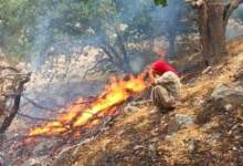 آتش سوزی جنگل‌های «کوه شره» کهگیلویه / درخواست بالگرد شد ( تصاویر  و فیلم )