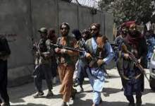 طالبان شروع به بازداشت‌های گسترده کرد