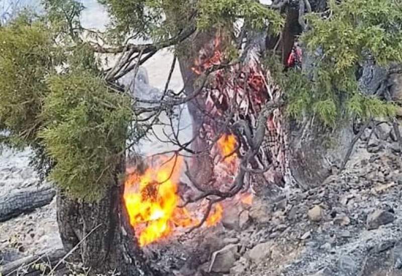 شعله های آتش در کوه نیر بخش لوداب همچنان زبانه می کشد+ فیلم و عکس