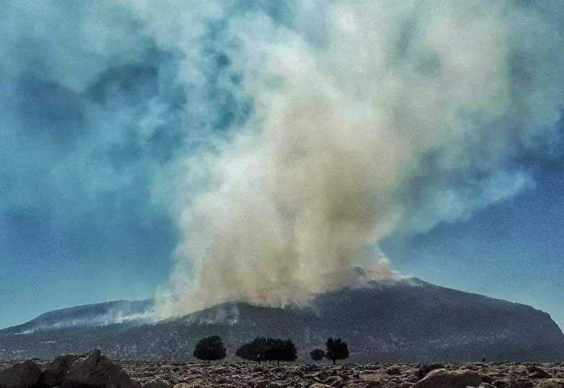 آتش‌سوزی «کوه نیر» به وضع غیرقابل کنترل رسیده است / مدیرکل: آتش در حال گسترش است؛ نیروهای کمکی به مدد جنگل بیایند / آتش سوزی بحرانی است