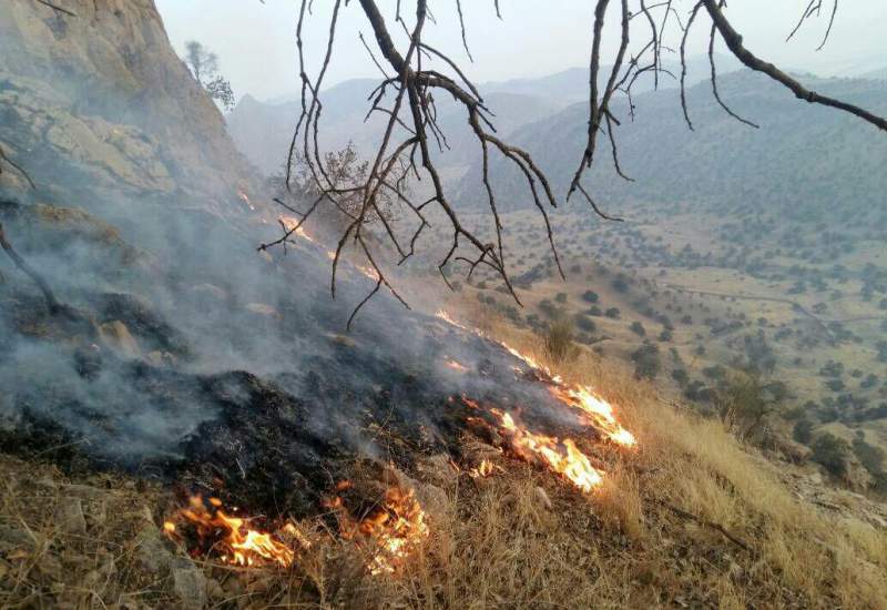آتش در «کوه مزیز» منطقه دیل و گناوه لری شهرستان گچساران