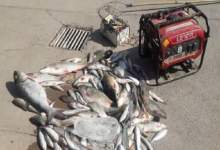 متخلفان صید ماهی در شهرستان دنا دستگیر شدند