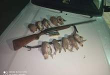 دستگیری ۴ شکارچی غیرمجاز در گچساران