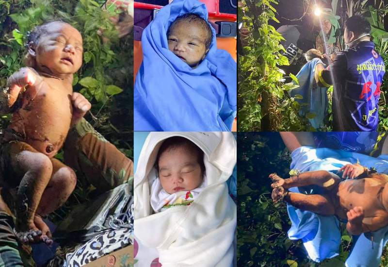 نوزاد رها شده در جنگل پس دو روز پیدا شد + ویدئو