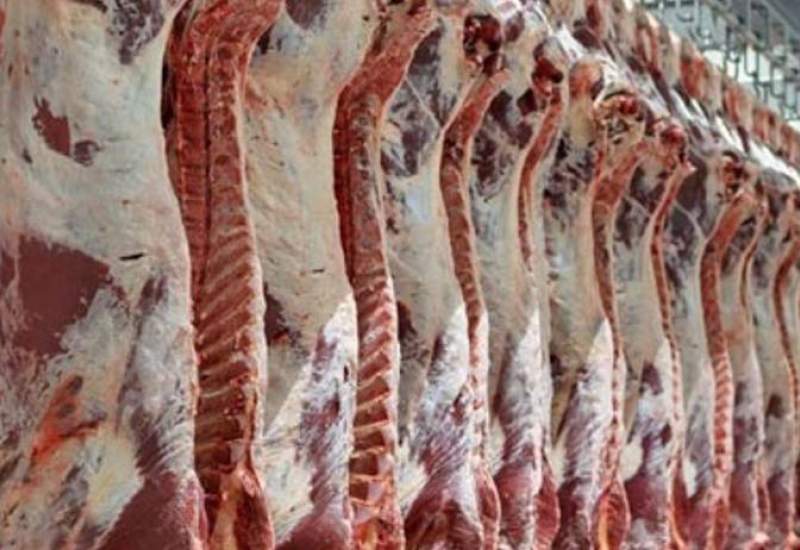 افزایش قیمت گوشت قرمز تا پایان سال «منتفی» است