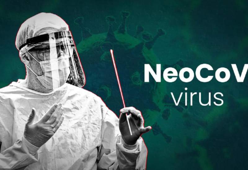 ویروس نئوکوو جهان را تهدید می‌کند؟!
