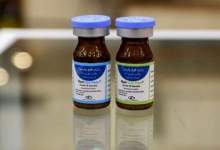 کاهش انتقال کرونا با دُز استنشاقی یک واکسن ایرانی/اثربخشی ۳ برابر سینوفارم