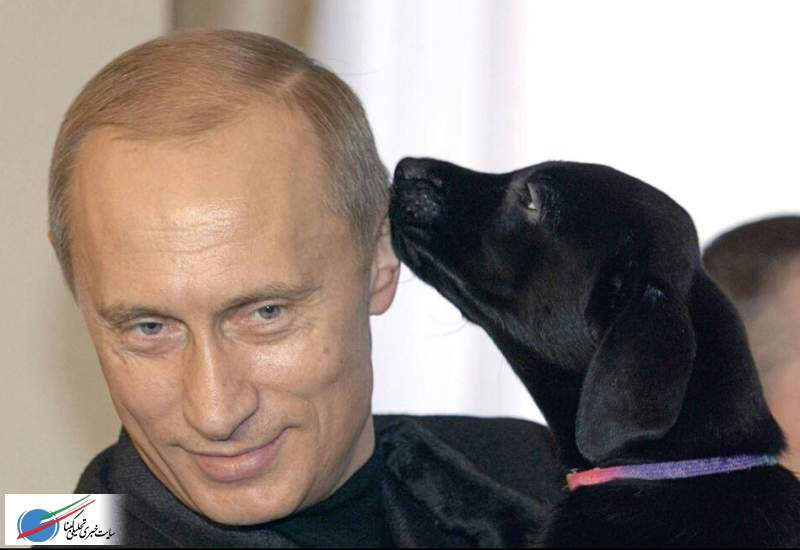 لابرادور، سگِ سیاهِ پوتینِ سفید