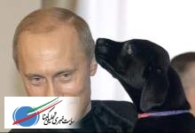 لابرادور، سگِ سیاهِ پوتینِ سفید