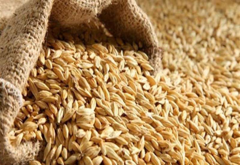 از خروج و قاچاق گندم استان کهگیلویه و بویراحمد جلوگیری شود