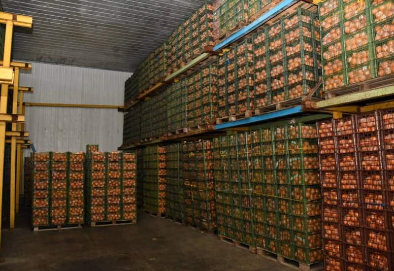 ۶۰۰ تن میوه شب عید در کهگیلویه و بویراحمد توزیع می‌شود + (جزئیات)