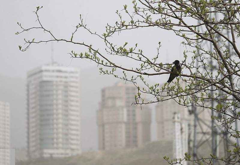 هشدار ورود توده گردوخاک به کشور/ ۱۴ استان درگیر آلودگی هوا می‌شوند