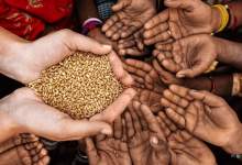 بحران مواد غذایی؛ جهان در آستانه گرسنگی شدید