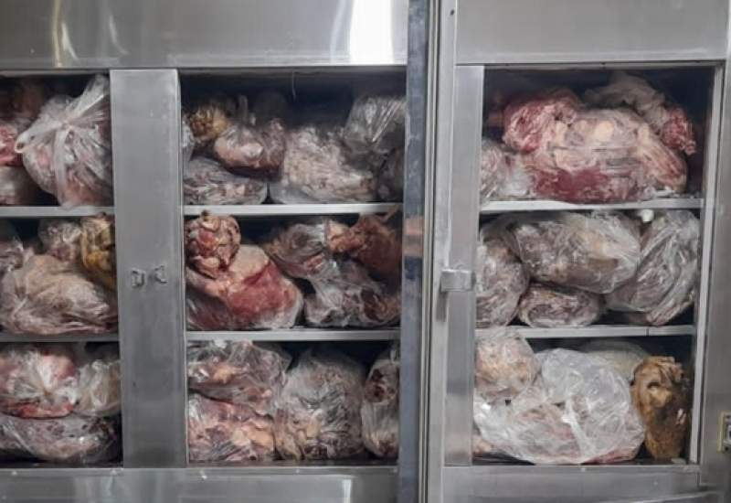 کشف بیش از ۵۰۰ کیلوگرم گوشت و محصولات غیر بهداشتی از بازار یاسوج / کشتارهای غیرمجاز و بین راهی تهدید علیه بهداشت عمومی