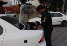 دستگیری ۴۴ نفر قاچاقچی در طرح ارتقاء امنیت اجتماعی گچساران