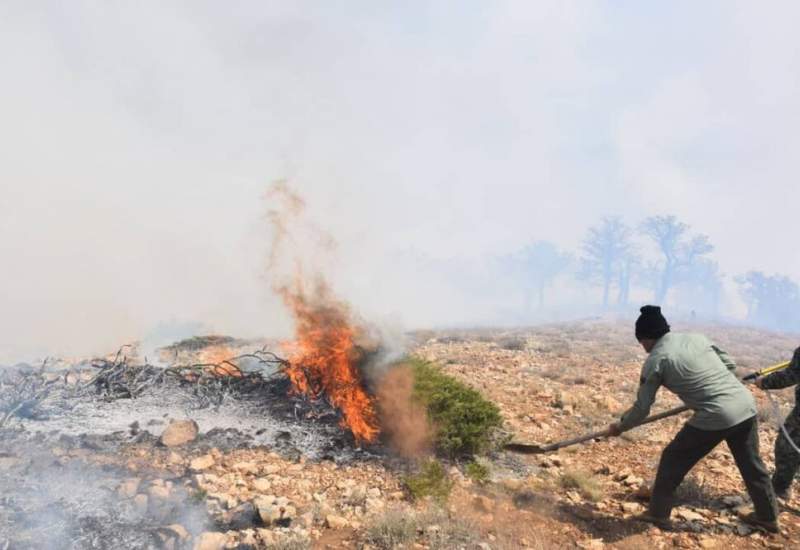 ۶ هکتار از جنگل‌های کوه لار باشت در آتش سوخت