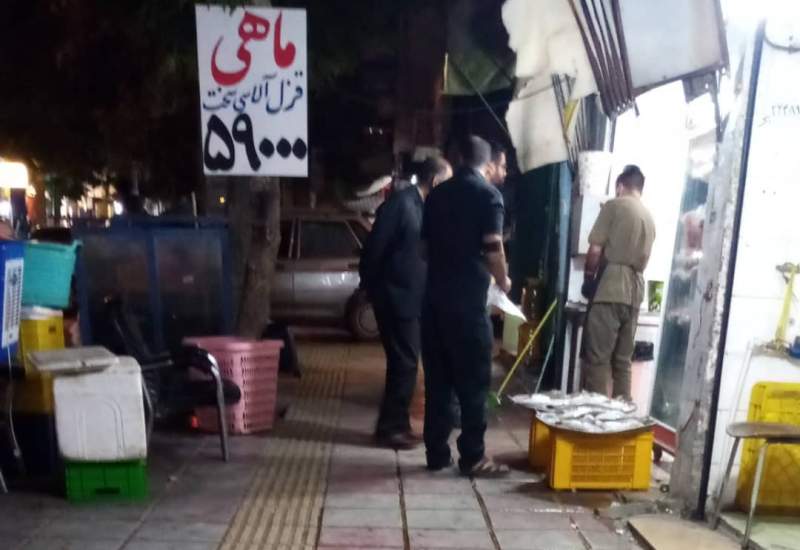 تفاوت زیاد قیمت ماهی قزل آلا در بازار یاسوج!