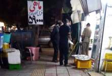 تفاوت زیاد قیمت ماهی قزل آلا در بازار یاسوج!