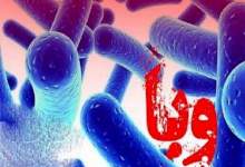 ابتلای ۳ نفر به بیماری وبا در چهارمحال و بختیاری