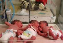 به دنیا امدن نوزادان سه قلو در گچساران / پدر سه قلوها: امیدوارم مسؤولان برای نگهداری از کودکانم مساعدت کنند