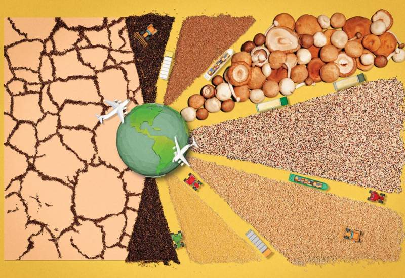 راه حل بحران جهانی غذا؛ غذای بیشتری نیست