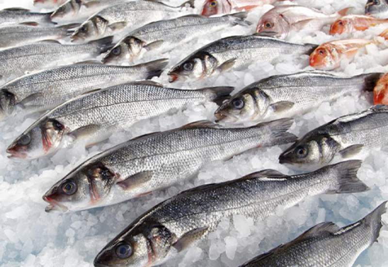 اطلاعیه سازمان دامپزشکی کهگیلویه و بویراحمد در رابطه با خرید ماهی