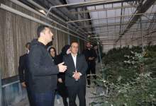 بازدید مدیرعامل اتحادیه گلخانه‌داران کشور از گلخانه های در یاسوج
